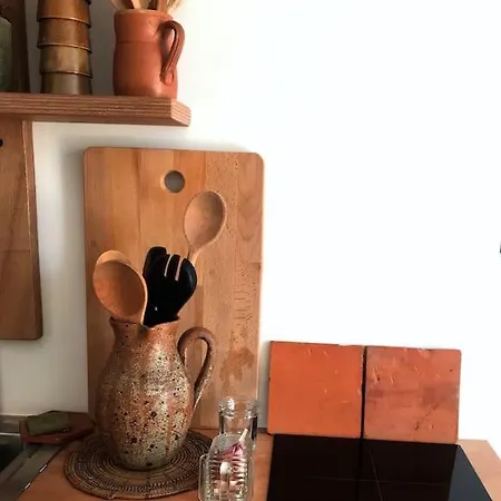 Vakantiehuis Duplex With Vintage Decor, Private Garden Terrace Hyères
