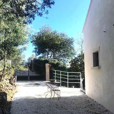 Vakantiehuis Duplex With Vintage Decor, Private Garden Terrace *